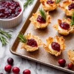 Cranberry and Brie Filo Crackers Recipe