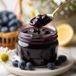 Blueberry Pie Filling Sauce Recipe