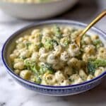 Cheesy and Creamy Broccoli Ditalini Pasta Recipe