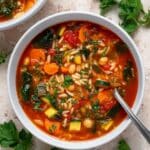 Vegetable Orzo Soup Recipe