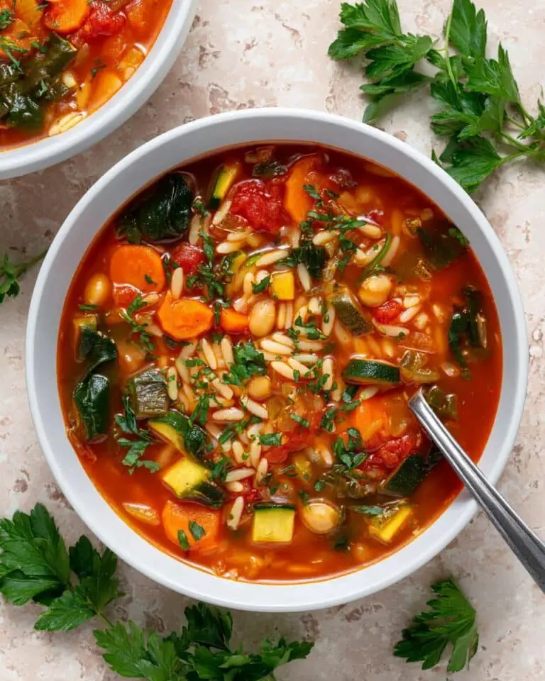 Vegetable Orzo Soup Recipe