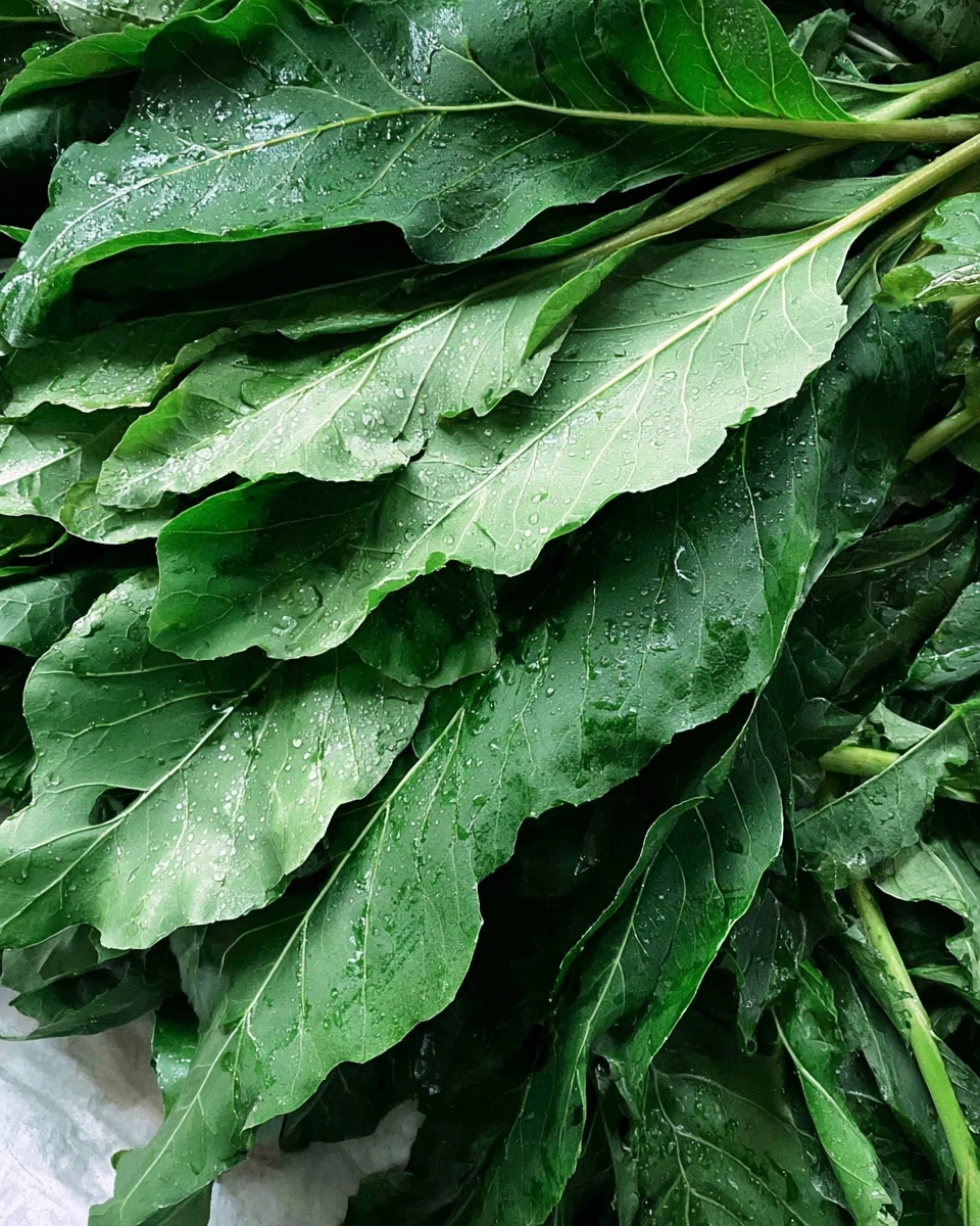 A close-up image showing many large green leaves layered together, each leaf with visible veins and some small holes, giving a fresh and natural look. The leaves have a mix of dark green and lighter green tones, some with shiny water droplets on them, and thick stems visible in the background, all on a white marbled texture. photo taken with an iphone --ar 4:5 --v 7