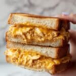 Chipotle Chicken Avocado Melt Recipe