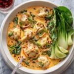 Coconut Curry Soup with Wontons Recipe