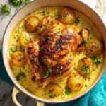 Creamy Lemon and Herb Pot Roasted Chicken Recipe