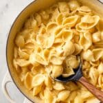 Shells and Cheese Recipe