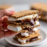 Air Fryer S'mores Recipe