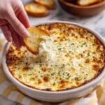 Sweet Vidalia Onion Dip Recipe