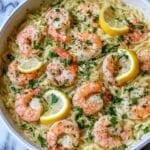 Shrimp Scampi Orzo Recipe