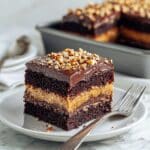 Texas Sheet Cake with Rich Cocoa Frosting Recipe