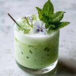 Doogh (Persian Yogurt Soda) Recipe