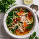 Asian Chicken Noodle Soup Recipe