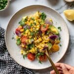 Charred Corn and Roasted Red Onion Salad with Avocado and Cilantro Recipe