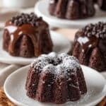 Mini Chocolate Bundt Cakes Recipe