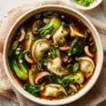 Potsticker Soup Recipe