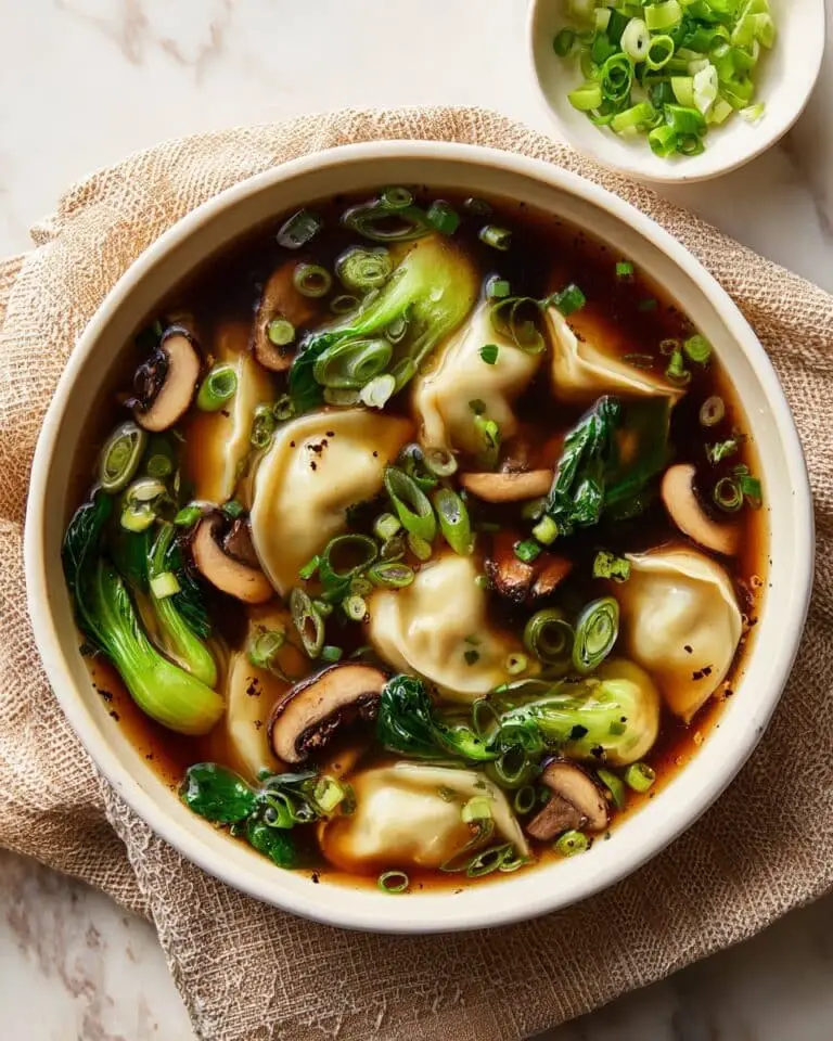 Potsticker Soup Recipe