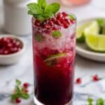 Pomegranate Mojito Recipe